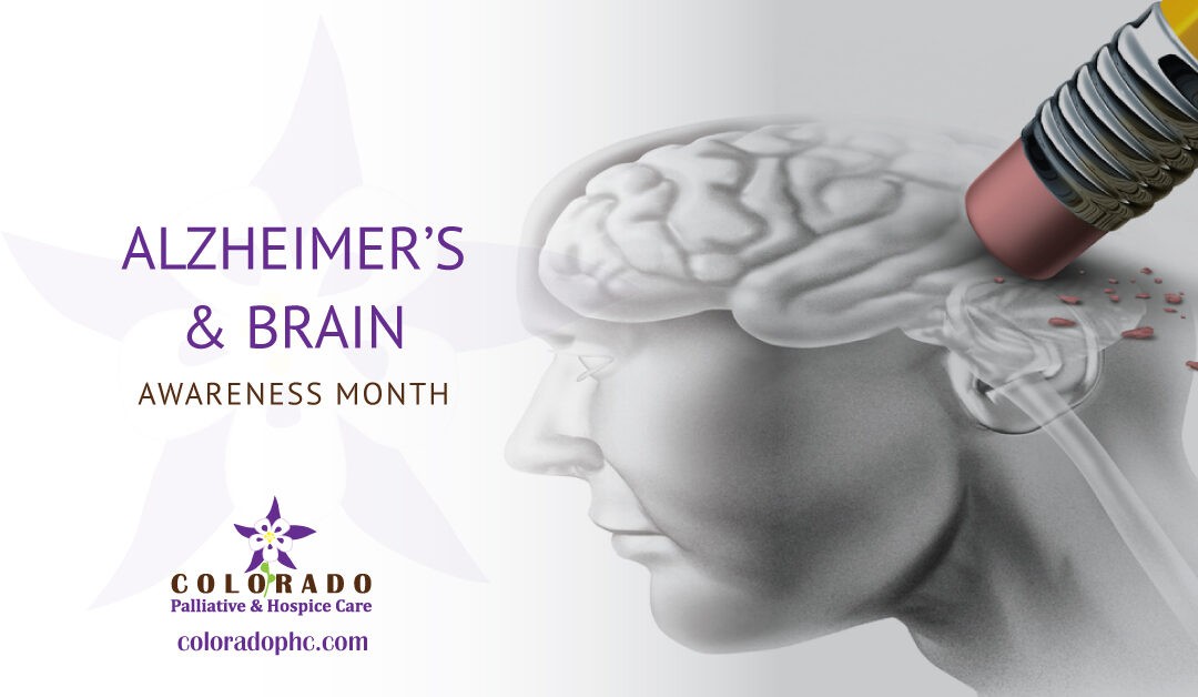 Alzheimer’s & Brain Awareness Month