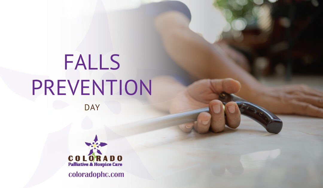 Falls Prevention Day