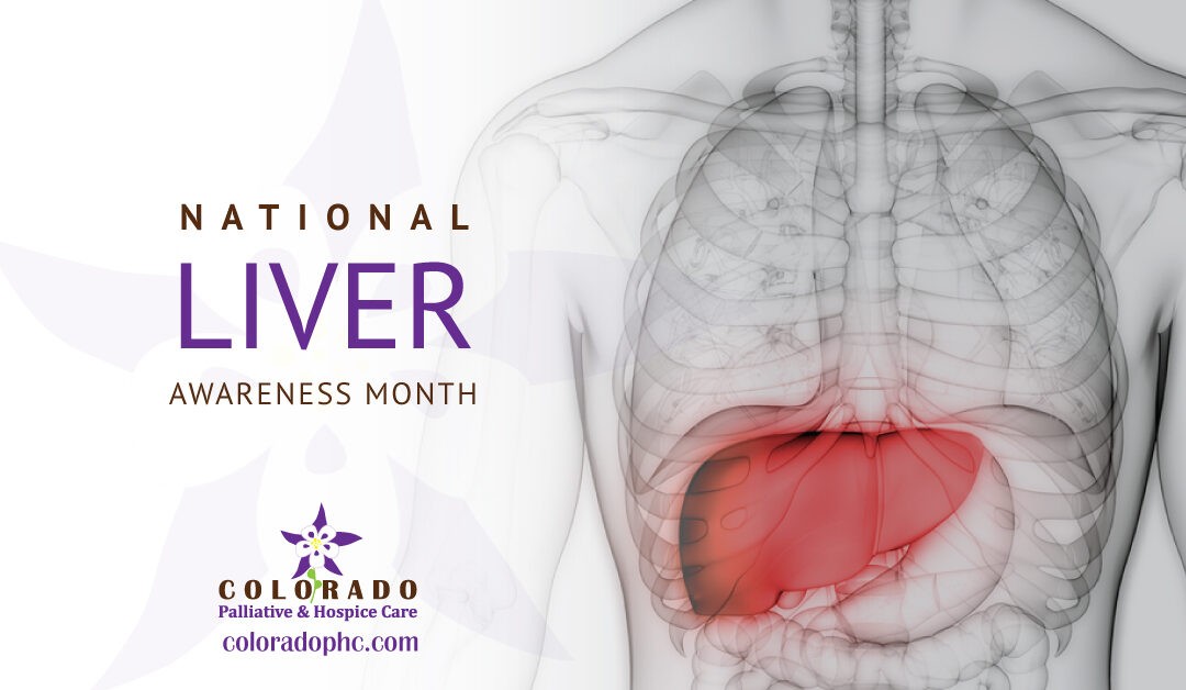 Liver Awareness Month: What You Need To Know